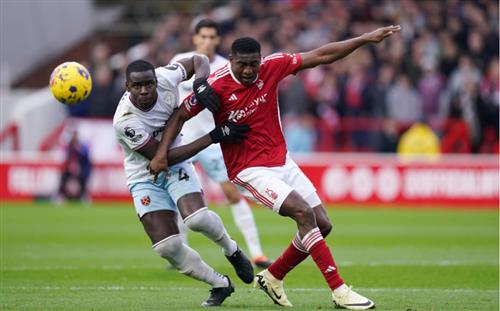 Understanding Just Bet Odds: A Beginner's Guide